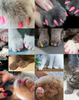 Imported Soft Silicone Nail Caps For Cats (Pack of 20)