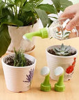 Plant Growth Food Sticks Pack Of 30