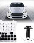 Car Fastener Box Set