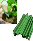 Plant Growth Food Sticks Pack Of 30
