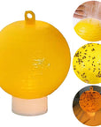 Sticky Fruit Fly Traps β Bug Ball