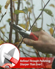EdgePro Compact Tungsten Blade Sharpener
