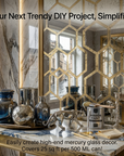 Silver Looking Mirror Paint ( China import )