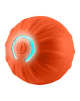 Automatic Bouncing Ball for pets