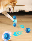 Automatic Bouncing Ball for pets