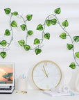 3-IN-1 PLANT CLIMBING CLIPS