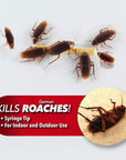 cockroach killing gel