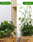 3-IN-1 PLANT CLIMBING CLIPS