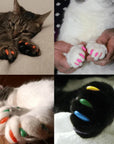 Imported Soft Silicone Nail Caps For Cats (Pack of 20)