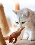 Interactive Cat Toy