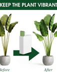 Plant Growth Food Sticks Pack Of 30