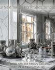Silver Looking Mirror Paint ( China import )
