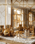 Silver Looking Mirror Paint ( China import )