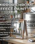 Silver Looking Mirror Paint ( China import )