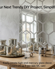 Silver Looking Mirror Paint ( China import )
