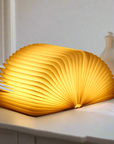 Enchanted Book Lamp