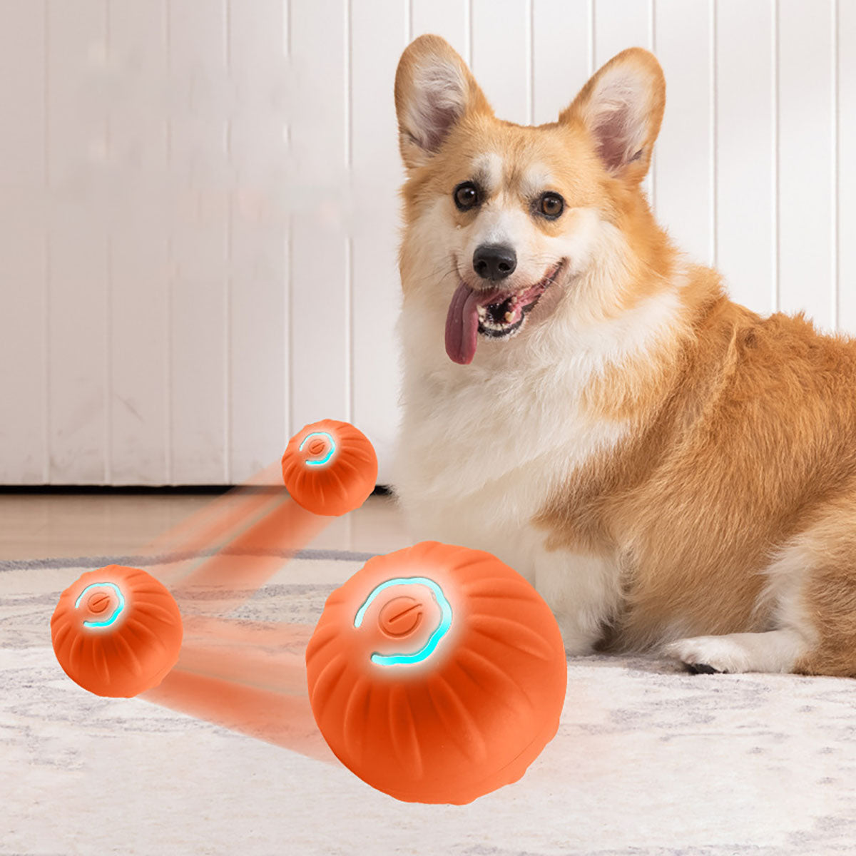 Automatic Bouncing Ball for pets
