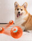 Automatic Bouncing Ball for pets