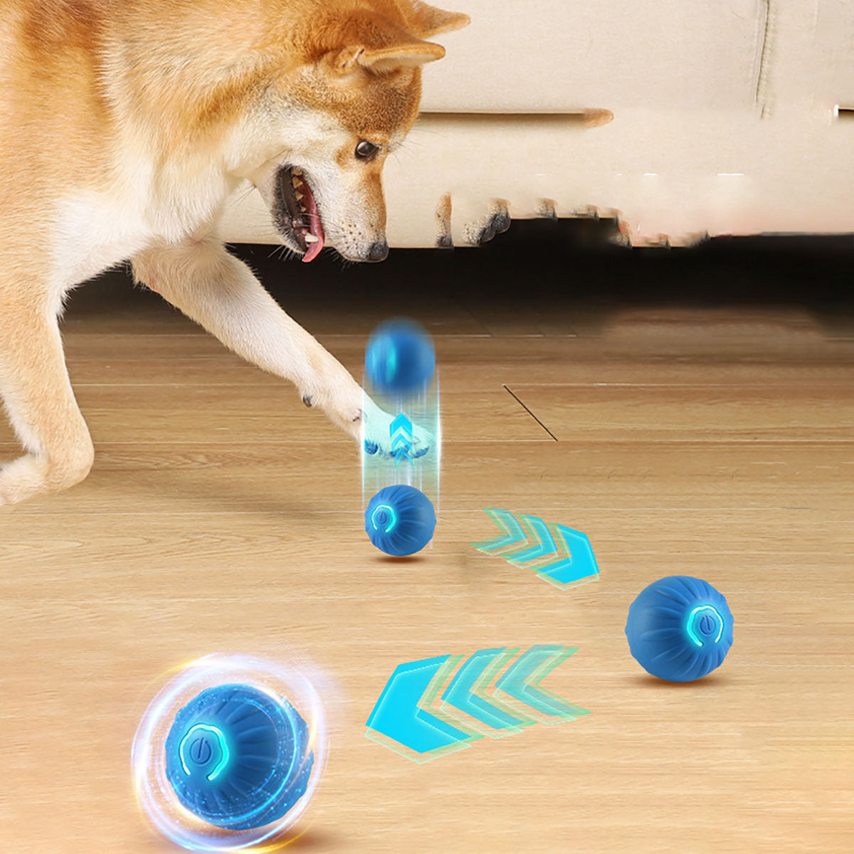 Automatic Bouncing Ball for pets