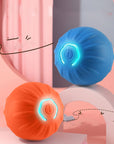 Automatic Bouncing Ball for pets