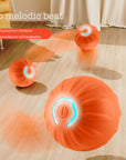 Automatic Bouncing Ball for pets