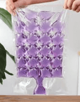 Pack of 10 Self-Seal 24-Grid Kitchen Ice Bags for Easy Ice Cube Making