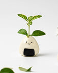 Ceramic Mini Vase