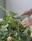Rose Thorn Remover & Flower Scissors