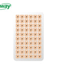 Ear Seed Acupressure Kit