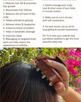 Kansa Activator for scalp & body