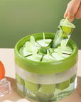 Popsicles Ice Cream Molds