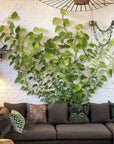 3-IN-1 PLANT CLIMBING CLIPS