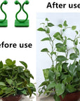 3-IN-1 PLANT CLIMBING CLIPS