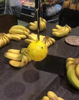 Sticky Fruit Fly Traps – Bug Ball