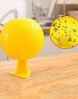 Sticky Fruit Fly Traps – Bug Ball
