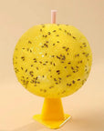 Sticky Fruit Fly Traps – Bug Ball