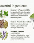 Hair Activator Oil